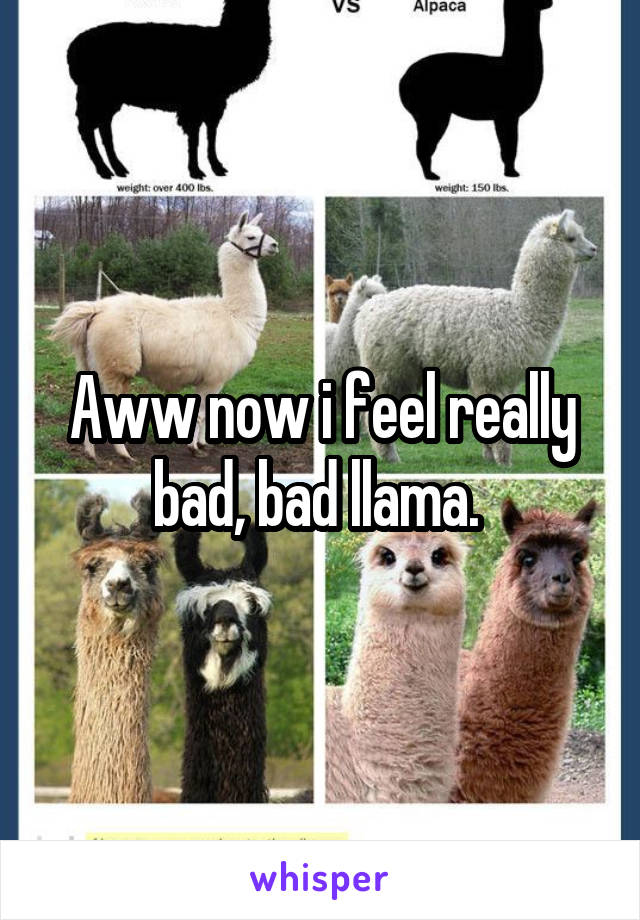 Aww now i feel really bad, bad llama. 