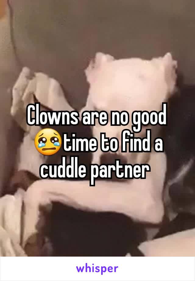 Clowns are no good 😢time to find a cuddle partner 