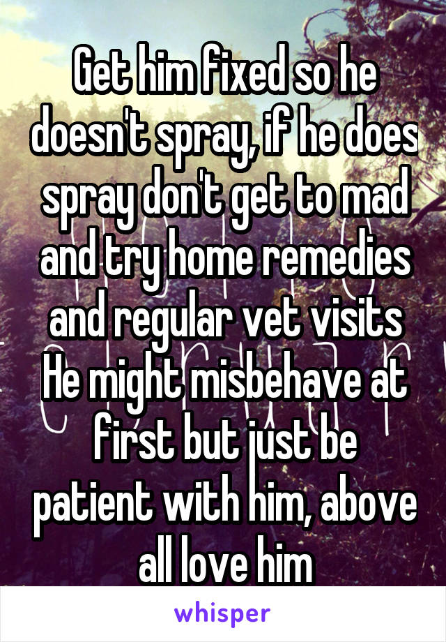 Get him fixed so he doesn't spray, if he does spray don't get to mad and try home remedies and regular vet visits He might misbehave at first but just be patient with him, above all love him