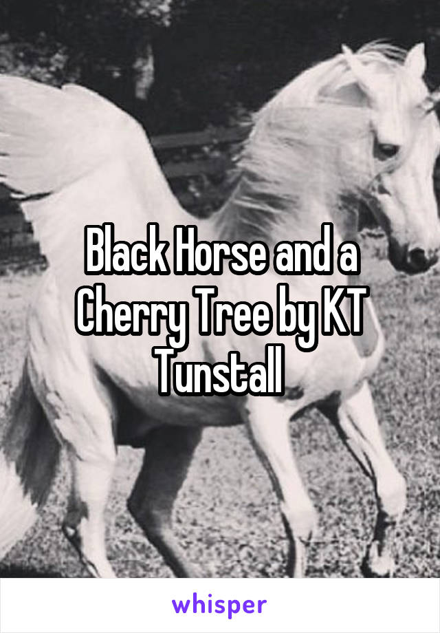 Black Horse and a Cherry Tree by KT Tunstall 