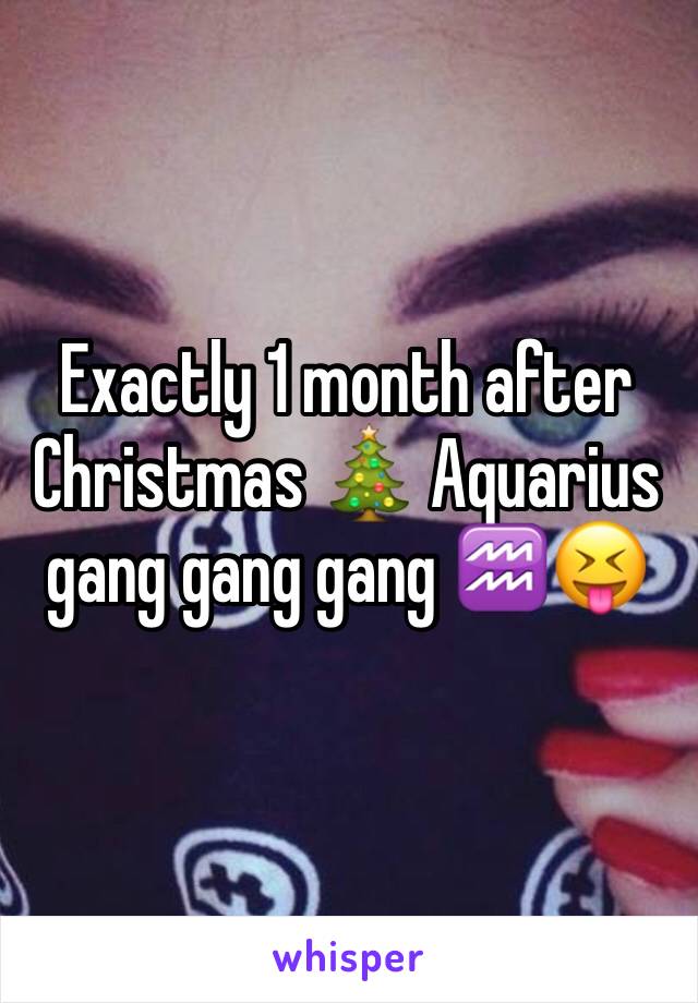Exactly 1 month after Christmas 🎄 Aquarius gang gang gang ♒️😝