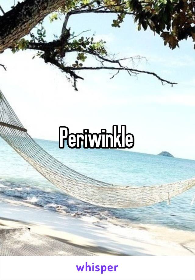 Periwinkle 