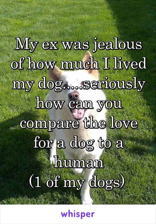 My ex was jealous of how much I lived my dog.....seriously how can you compare the love for a dog to a human
(1 of my dogs) 