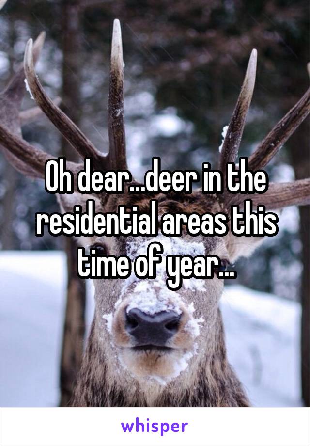 Oh dear...deer in the residential areas this time of year...