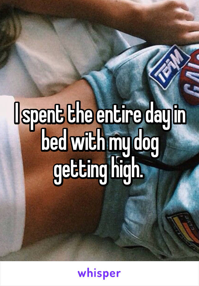 I spent the entire day in bed with my dog getting high. 