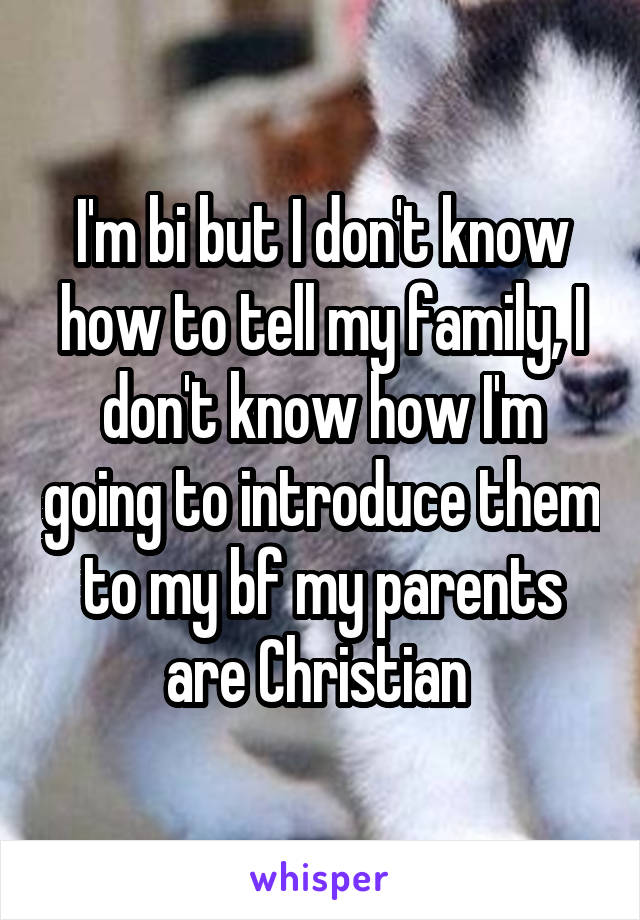 I'm bi but I don't know how to tell my family, I don't know how I'm going to introduce them to my bf my parents are Christian 