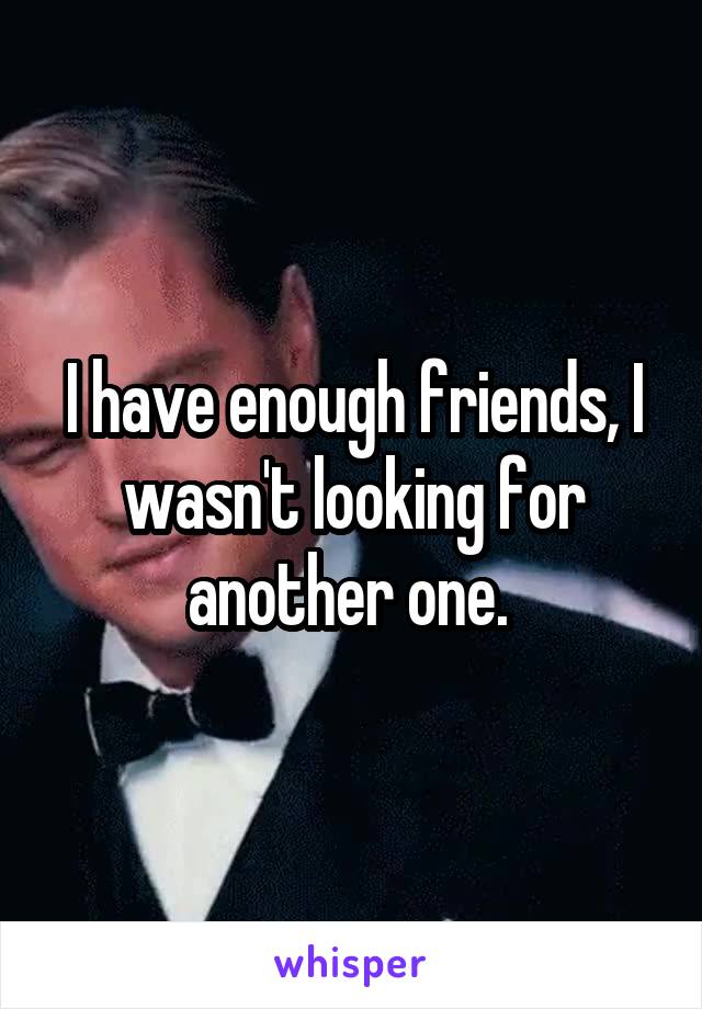 I have enough friends, I wasn't looking for another one. 