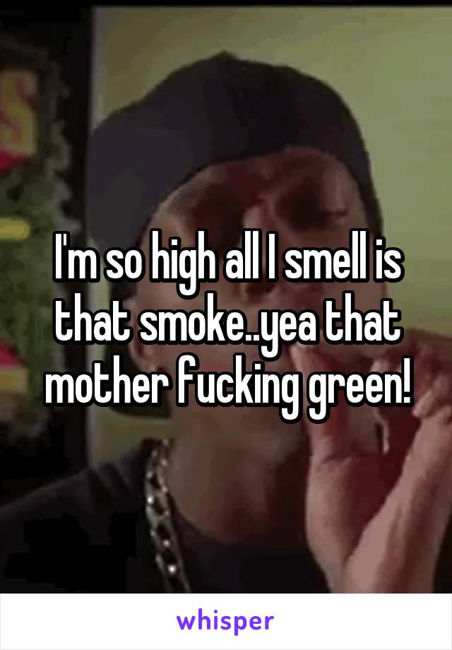 I'm so high all I smell is that smoke..yea that mother fucking green!