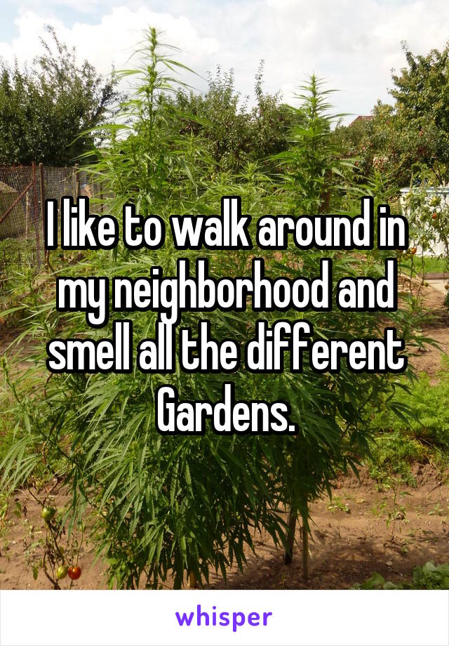 I like to walk around in my neighborhood and smell all the different Gardens.