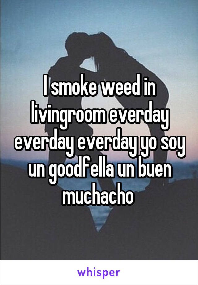 I smoke weed in livingroom everday everday everday yo soy un goodfella un buen muchacho 