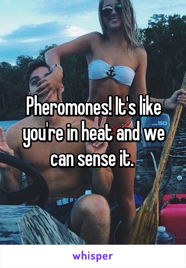 Pheromones! It's like you're in heat and we can sense it. 