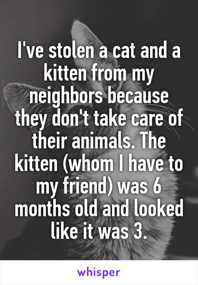 I've stolen a cat and a kitten from my neighbors because they don't take care of their animals. The kitten (whom I have to my friend) was 6 months old and looked like it was 3.
