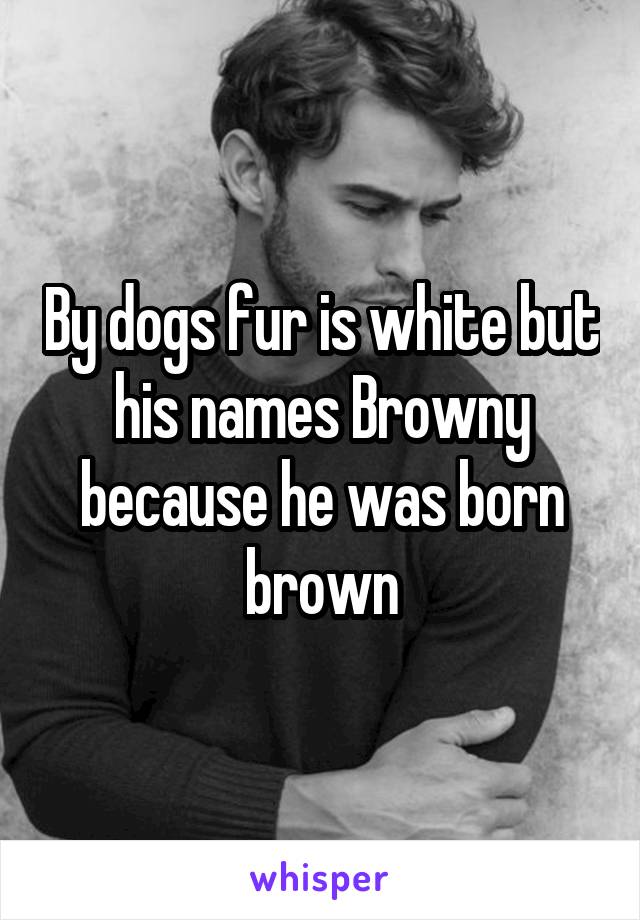 By dogs fur is white but his names Browny because he was born brown