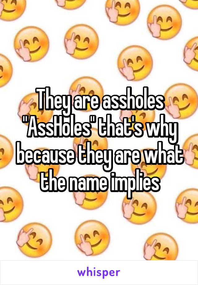 They are assholes "AssHoles" that's why because they are what the name implies