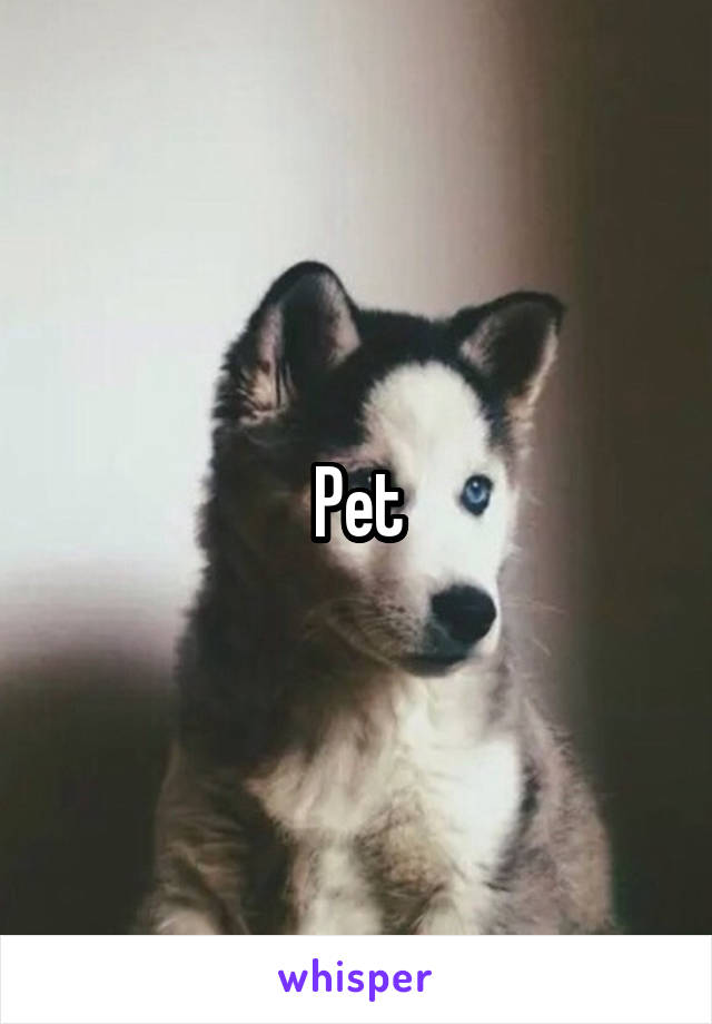 Pet