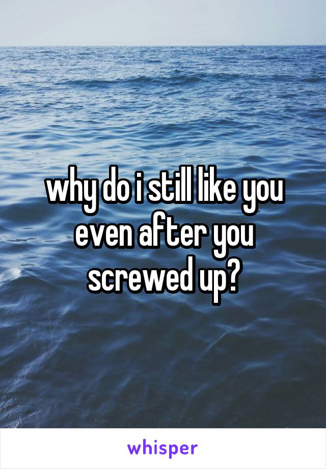 why do i still like you even after you screwed up?