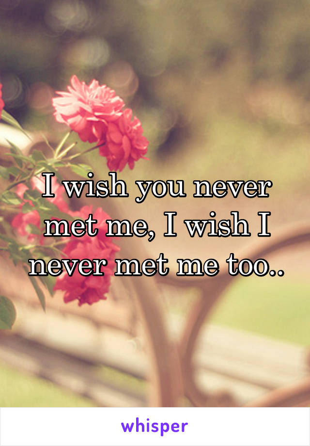 I wish you never met me, I wish I never met me too..
