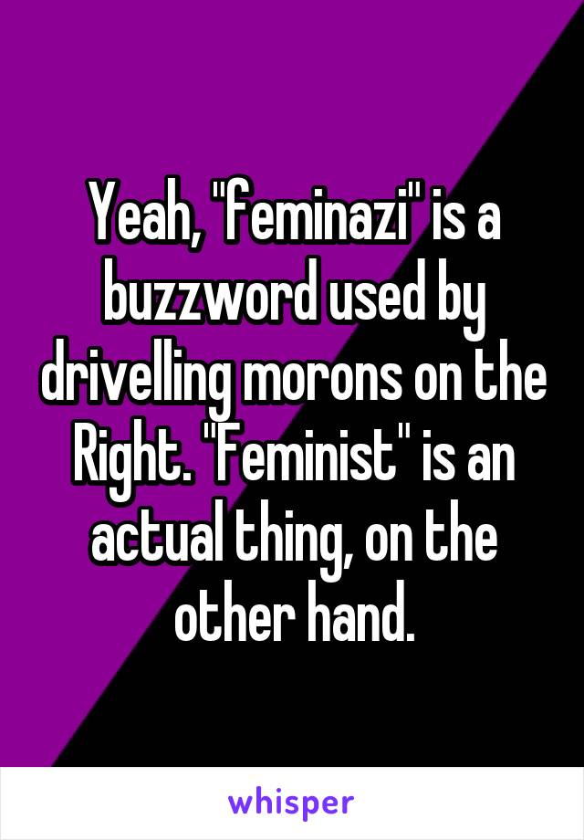 Yeah, "feminazi" is a buzzword used by drivelling morons on the Right. "Feminist" is an actual thing, on the other hand.