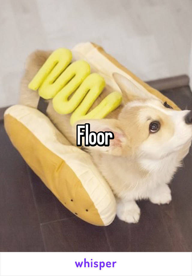 Floor 