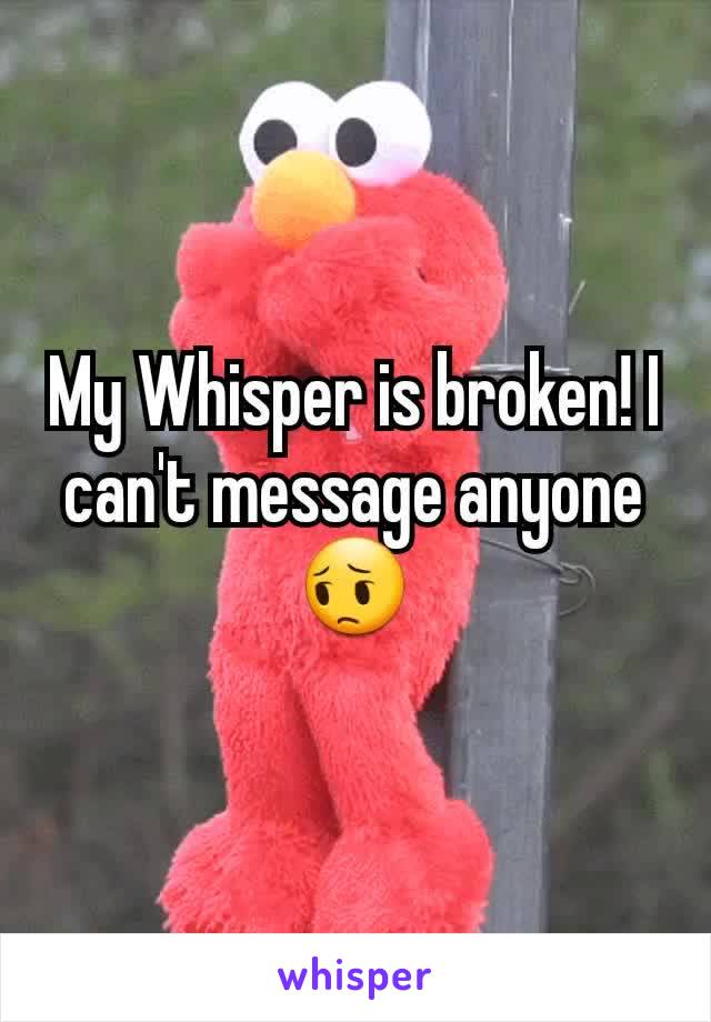 My Whisper is broken! I can't message anyone 😔