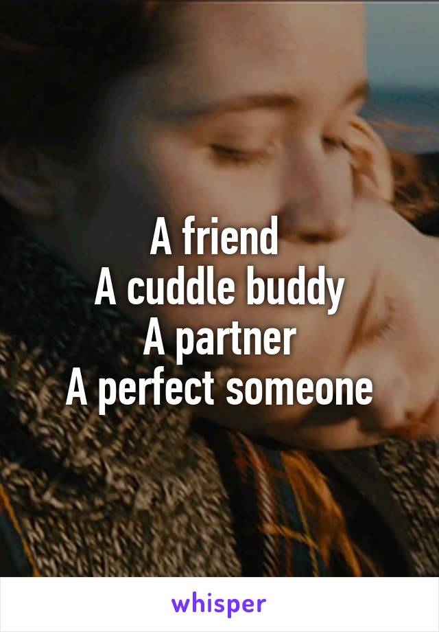 A friend 
A cuddle buddy
A partner
A perfect someone