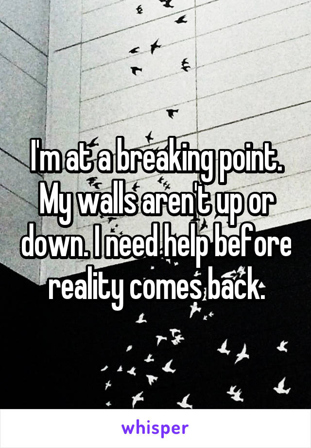 I'm at a breaking point. My walls aren't up or down. I need help before reality comes back.