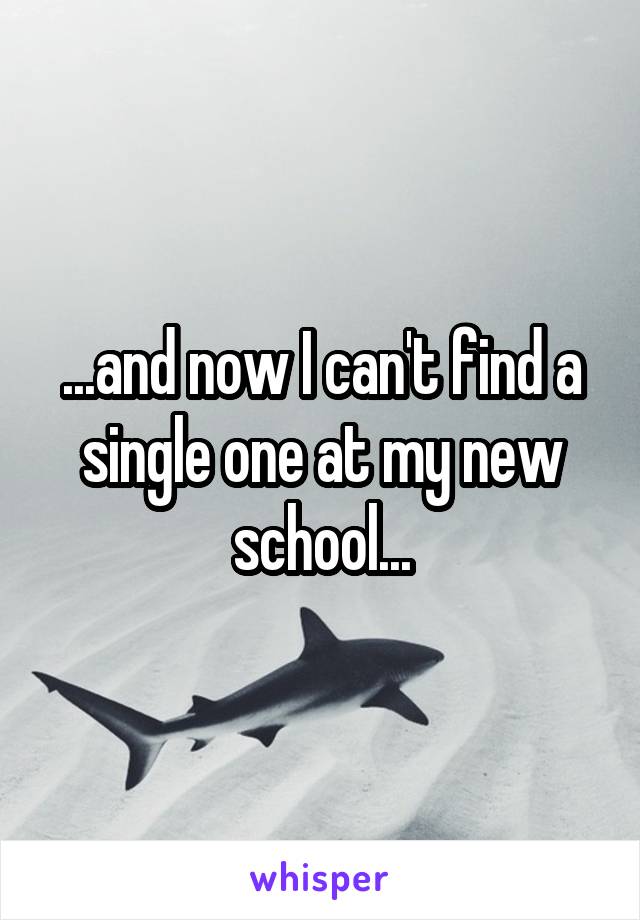 ...and now I can't find a single one at my new school...