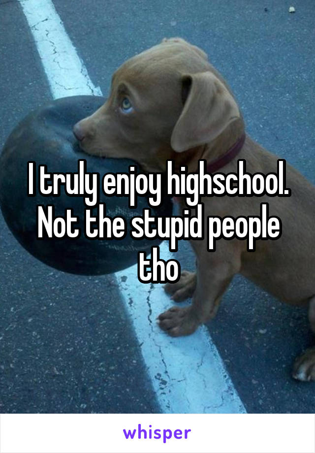 I truly enjoy highschool. Not the stupid people tho