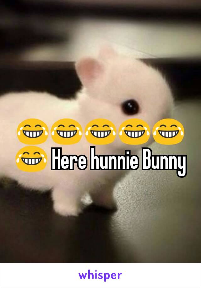 😂😂😂😂😂😂 Here hunnie Bunny
