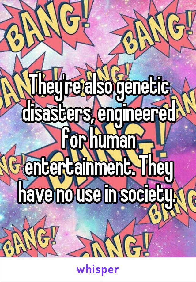 They're also genetic disasters, engineered for human entertainment. They have no use in society. 