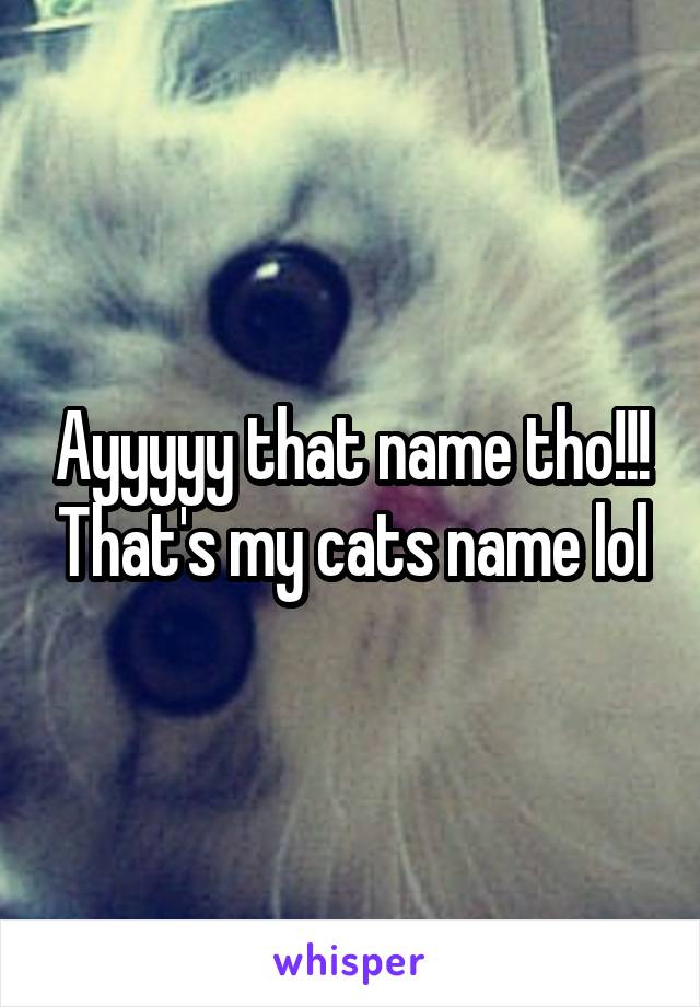 Ayyyyy that name tho!!! That's my cats name lol