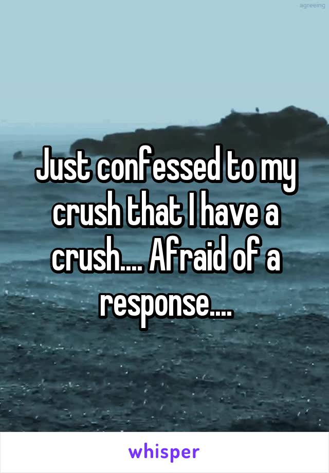 Just confessed to my crush that I have a crush.... Afraid of a response....