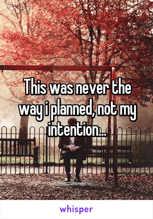 This was never the way i planned, not my intention...