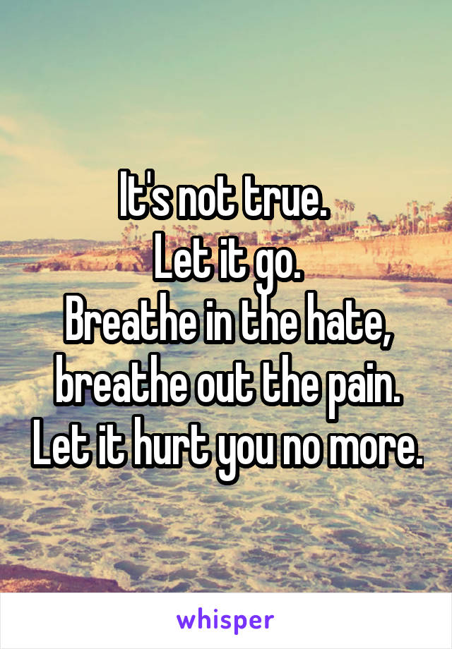 It's not true. 
Let it go.
Breathe in the hate, breathe out the pain. Let it hurt you no more.