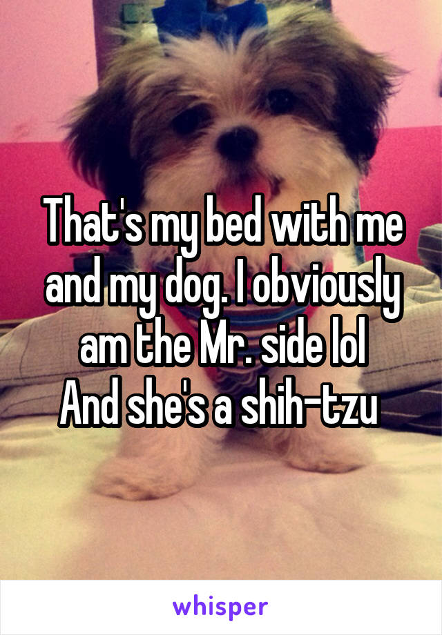 That's my bed with me and my dog. I obviously am the Mr. side lol
And she's a shih-tzu 
