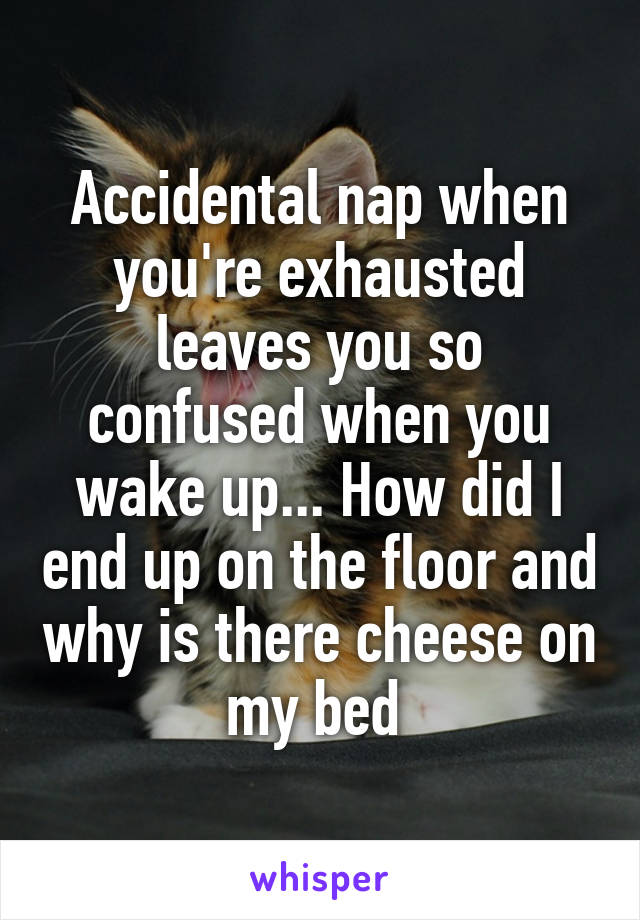 Accidental nap when you're exhausted leaves you so confused when you wake up... How did I end up on the floor and why is there cheese on my bed 