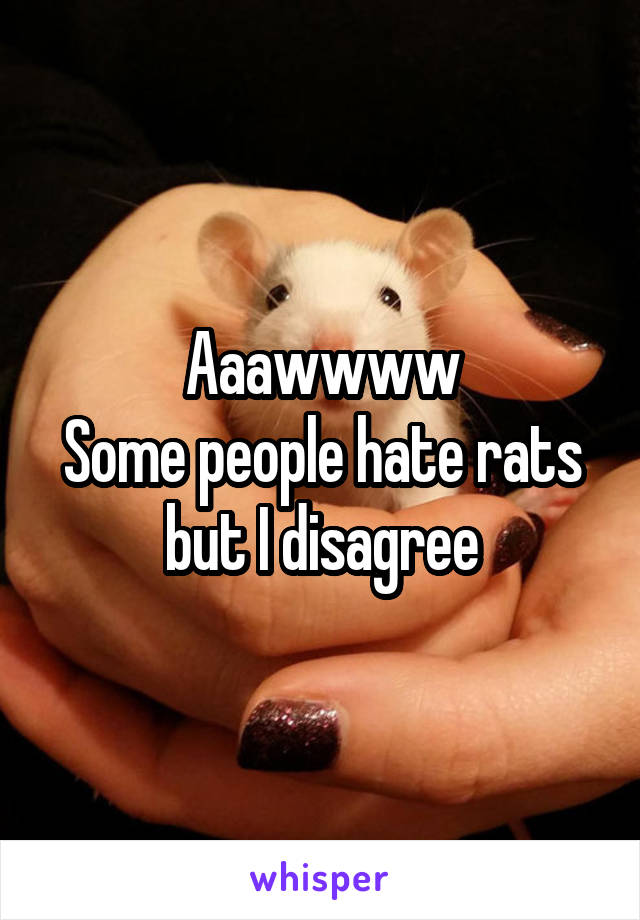 Aaawwww
Some people hate rats but I disagree