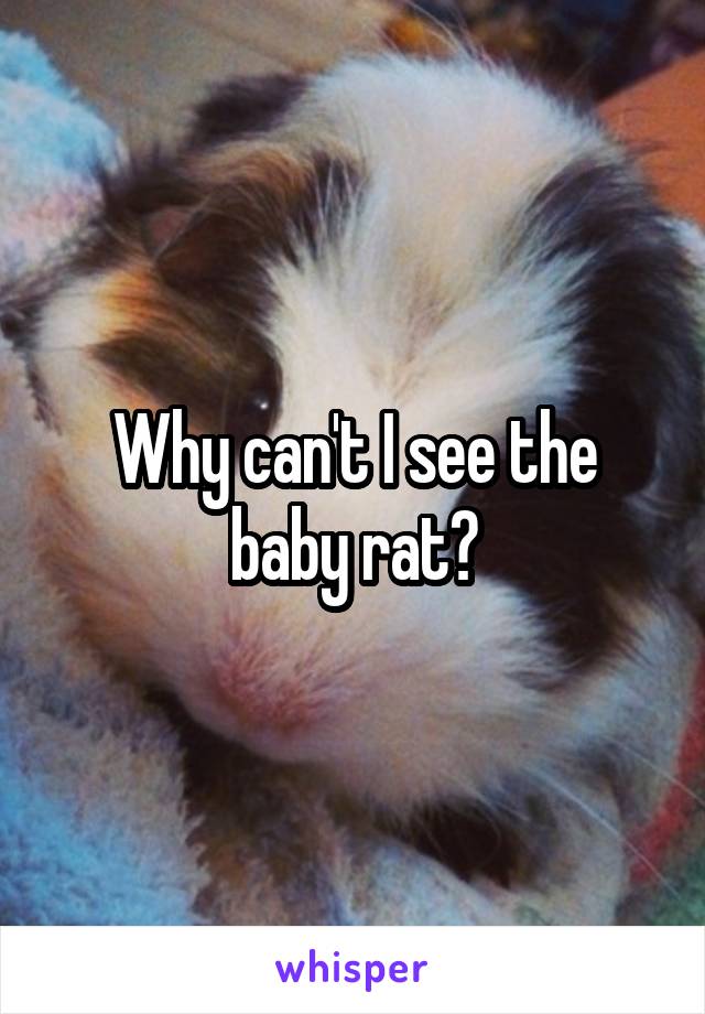Why can't I see the baby rat?