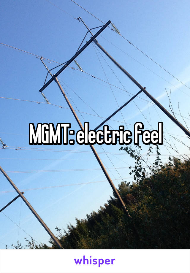 MGMT: electric feel