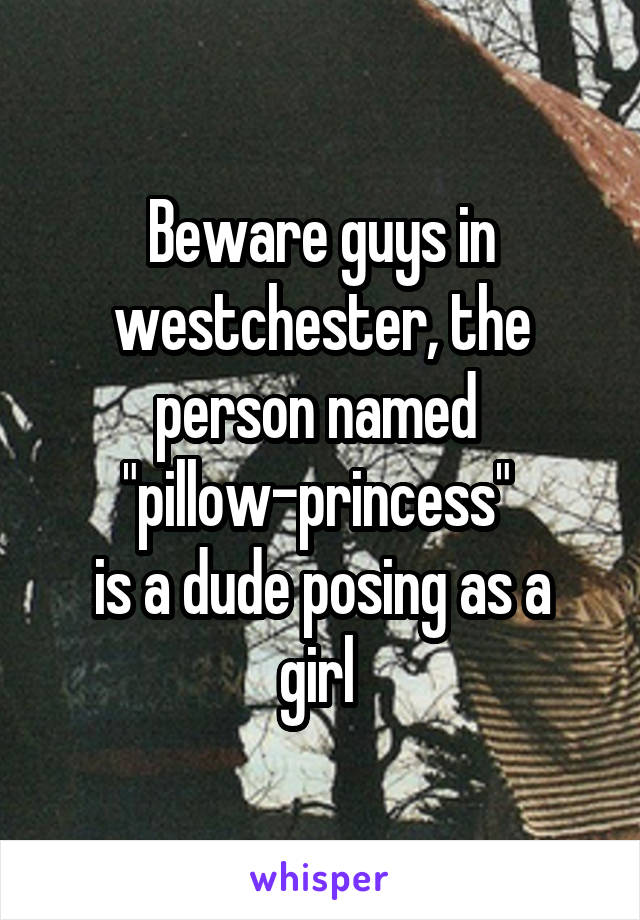 Beware guys in westchester, the person named 
 "pillow-princess"  
is a dude posing as a girl 