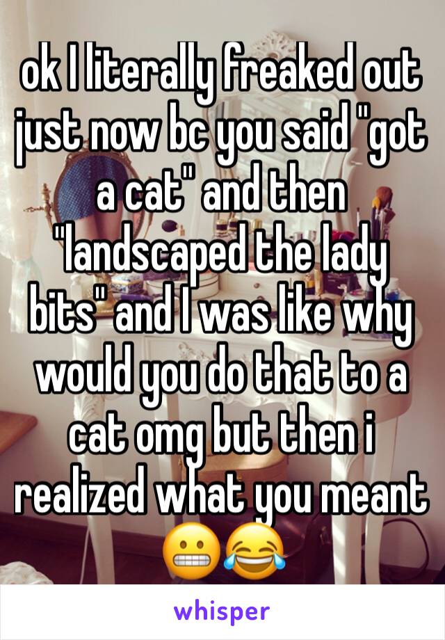 ok I literally freaked out just now bc you said "got a cat" and then "landscaped the lady bits" and I was like why would you do that to a cat omg but then i realized what you meant 😬😂