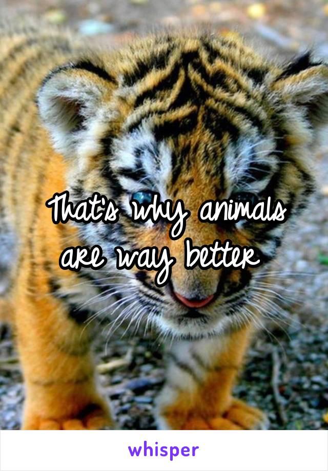 That's why animals are way better 