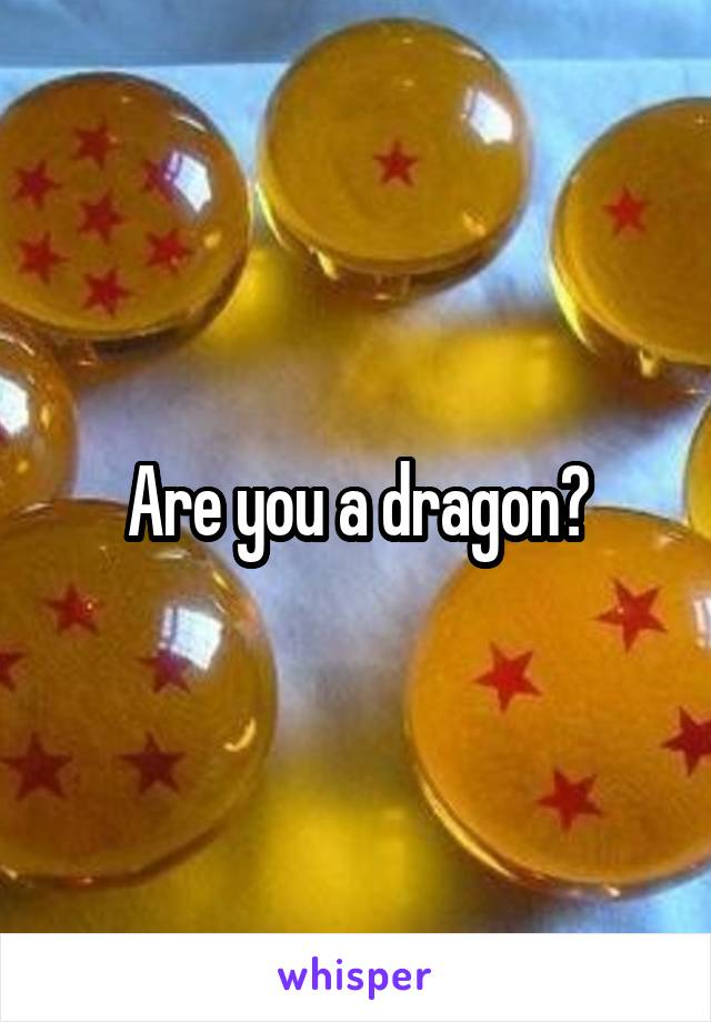 Are you a dragon?