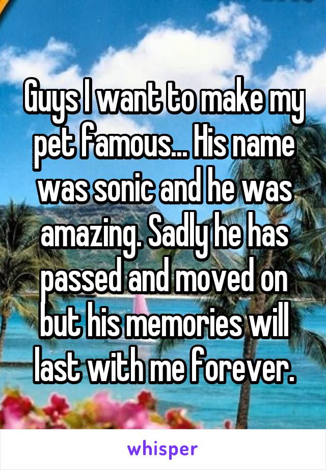 Guys I want to make my pet famous... His name was sonic and he was amazing. Sadly he has passed and moved on but his memories will last with me forever.