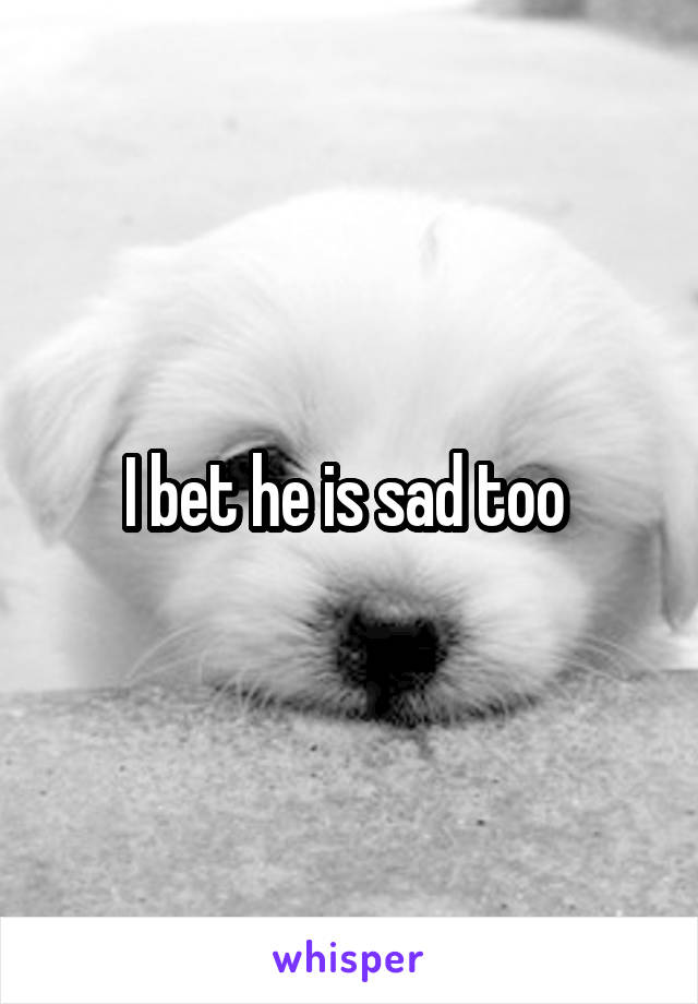 I bet he is sad too 