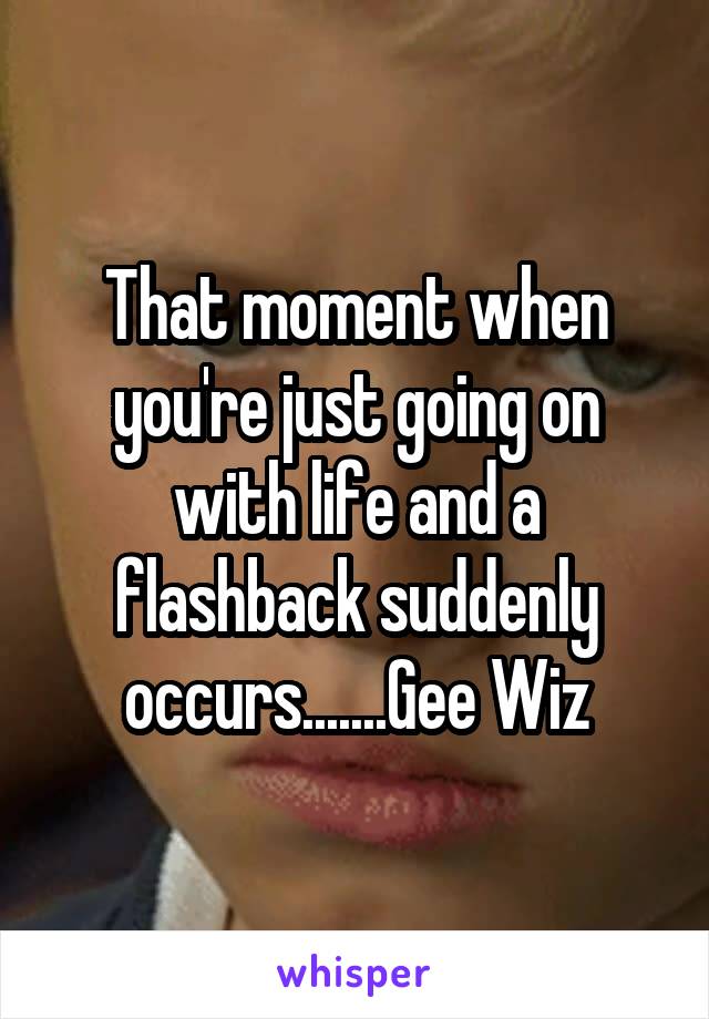 That moment when you're just going on with life and a flashback suddenly occurs.......Gee Wiz