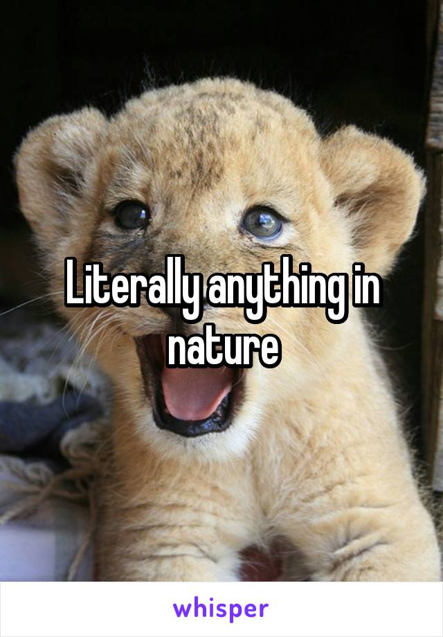 Literally anything in nature