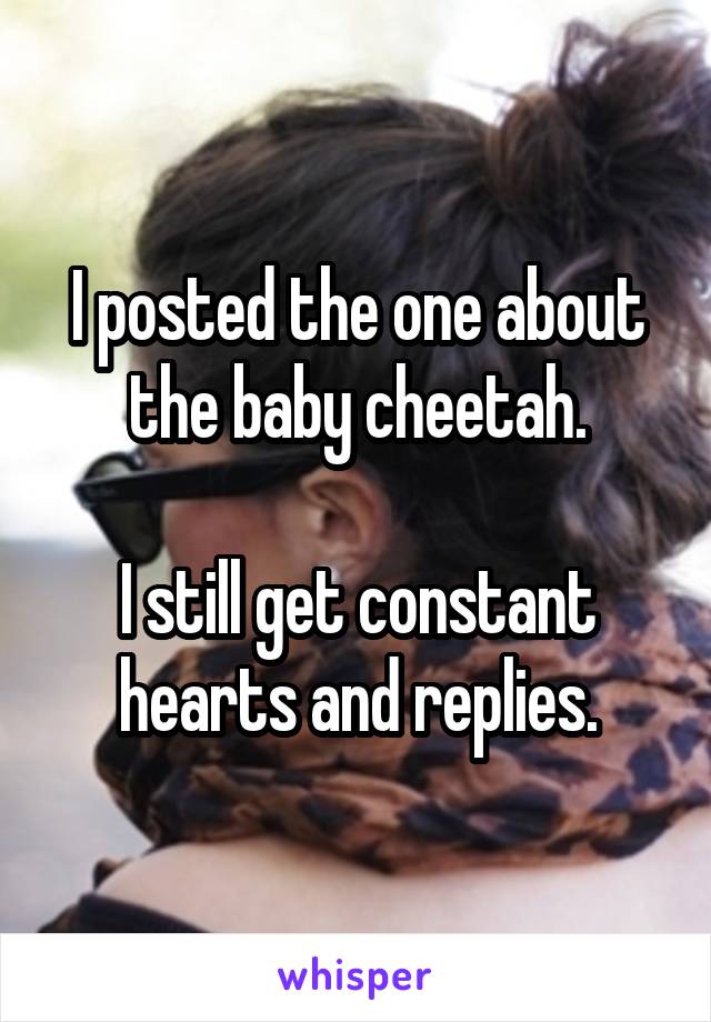 I posted the one about the baby cheetah.

I still get constant hearts and replies.