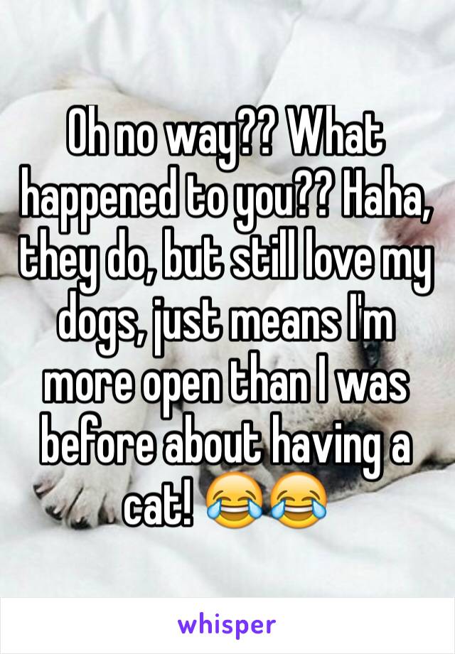 Oh no way?? What happened to you?? Haha, they do, but still love my dogs, just means I'm more open than I was before about having a cat! 😂😂