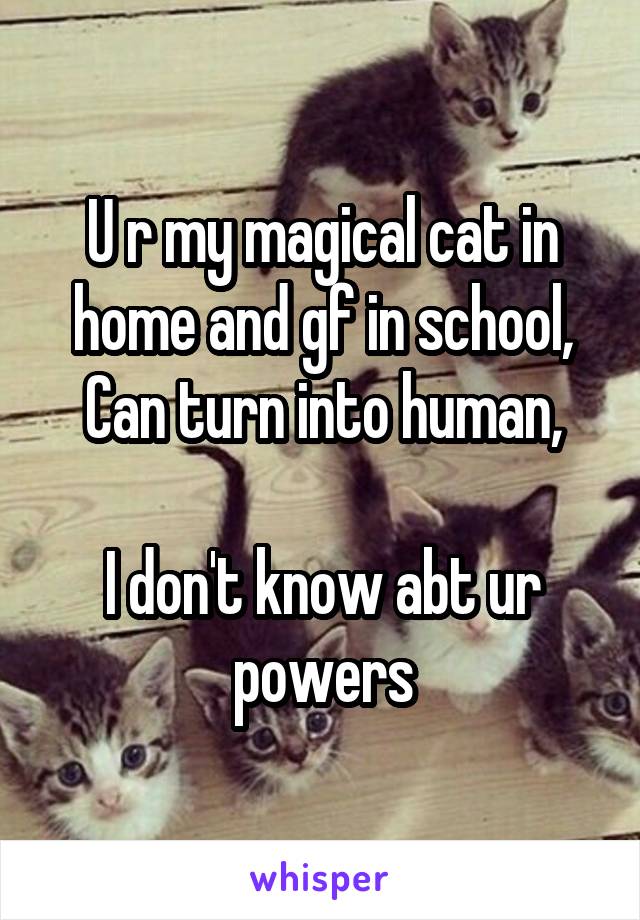 U r my magical cat in home and gf in school,
Can turn into human,

I don't know abt ur powers